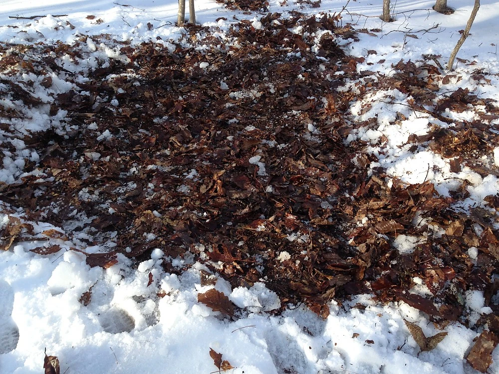 Rab Neutrino Endurance 600 - Image 12