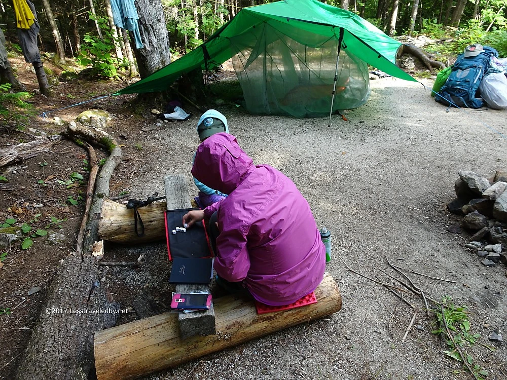 Cooke Custom Sewing 1.9oz Silicone Tundra Tarp - Image 2