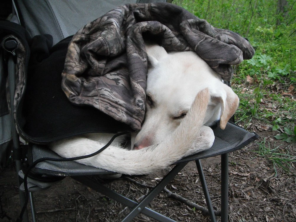 ALPS Mountaineering Lightweight Series Self Inflating Air Pads - Image 19