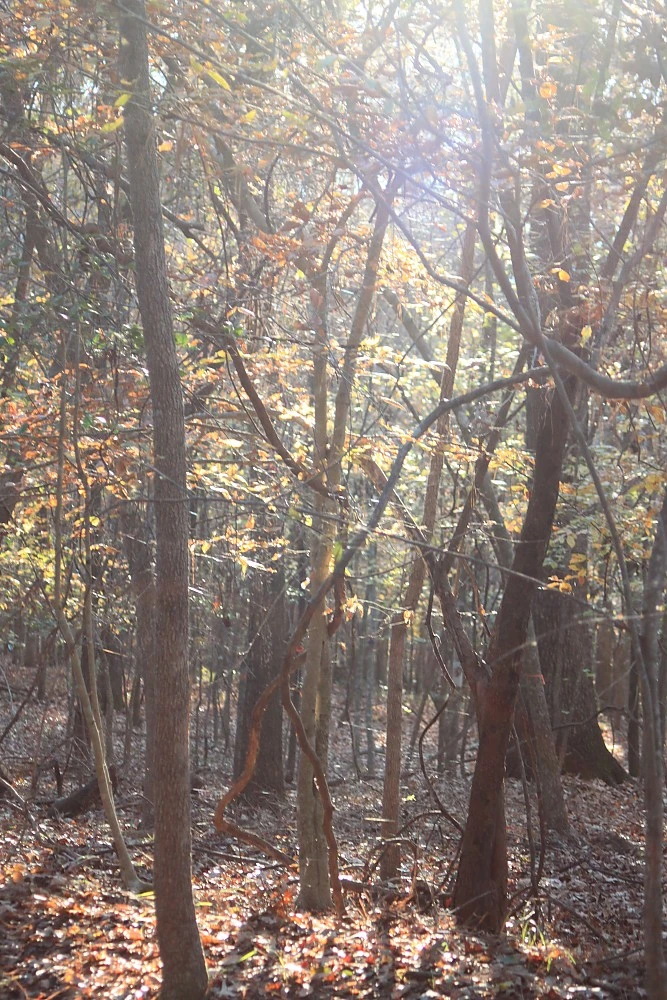 Granite Gear Vapor Current Airbeam Frame - Image 10