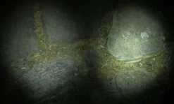 EGear Focus Control 200