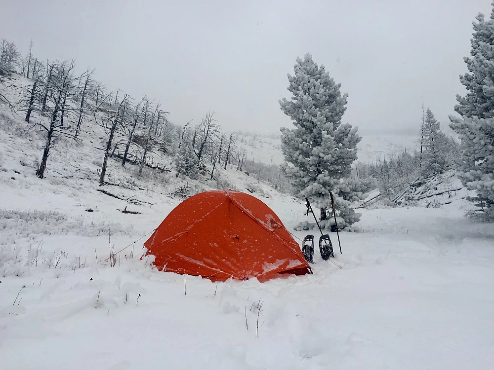 MSR Access 1 - Image 5