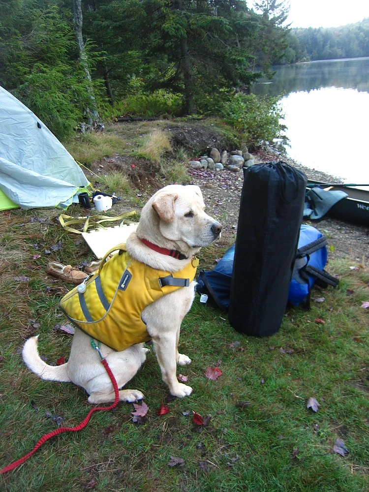 ALPS Mountaineering Lightweight Series Self Inflating Air Pads - Image 13